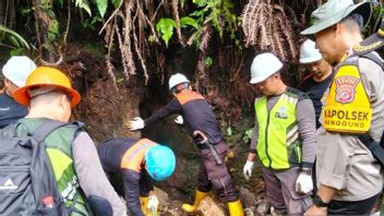 3 Hari Patroli, Aparat Gabungan Tutup 9 Lubang Tambang Ilegal di Gunung Pongkor Bogor