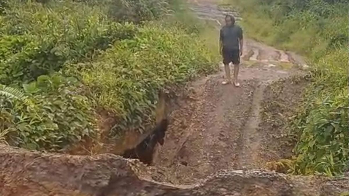 Jembatan Kayu Log Ambruk di Sungai Boh, Akses Perbatasan Long Apung ke Mahak Terputus