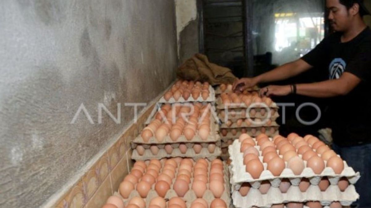 在斋月之前，望加锡的鸡蛋和鸡肉价格攀升