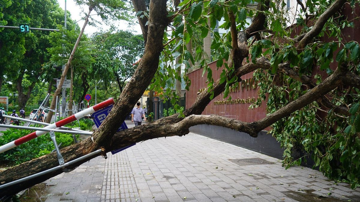 Typhoon Yagi Causes Red River To Overflow And Flood Hanoi, 155 People Died