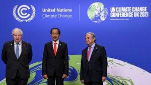 Greenomics: Pidato Presiden Jokowi di COP26 Sesuai Data Satelit