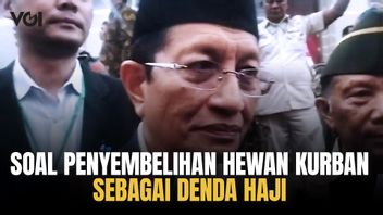 Kemenag Masih Menunggu Fatwa MUI Terkait Penyembelihan Hewan Kurban sebagai Denda Haji
