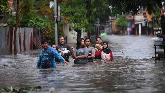 The Coordinating Ministry For Human Development And Culture Emphasizes The Optimization Of Drainage To Prevent Floods