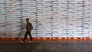 Stok Beras RI Mencapai 4 Juta Ton, Pengamat: Ini Justru jadi Tantangan Tersendiri bagi Bulog