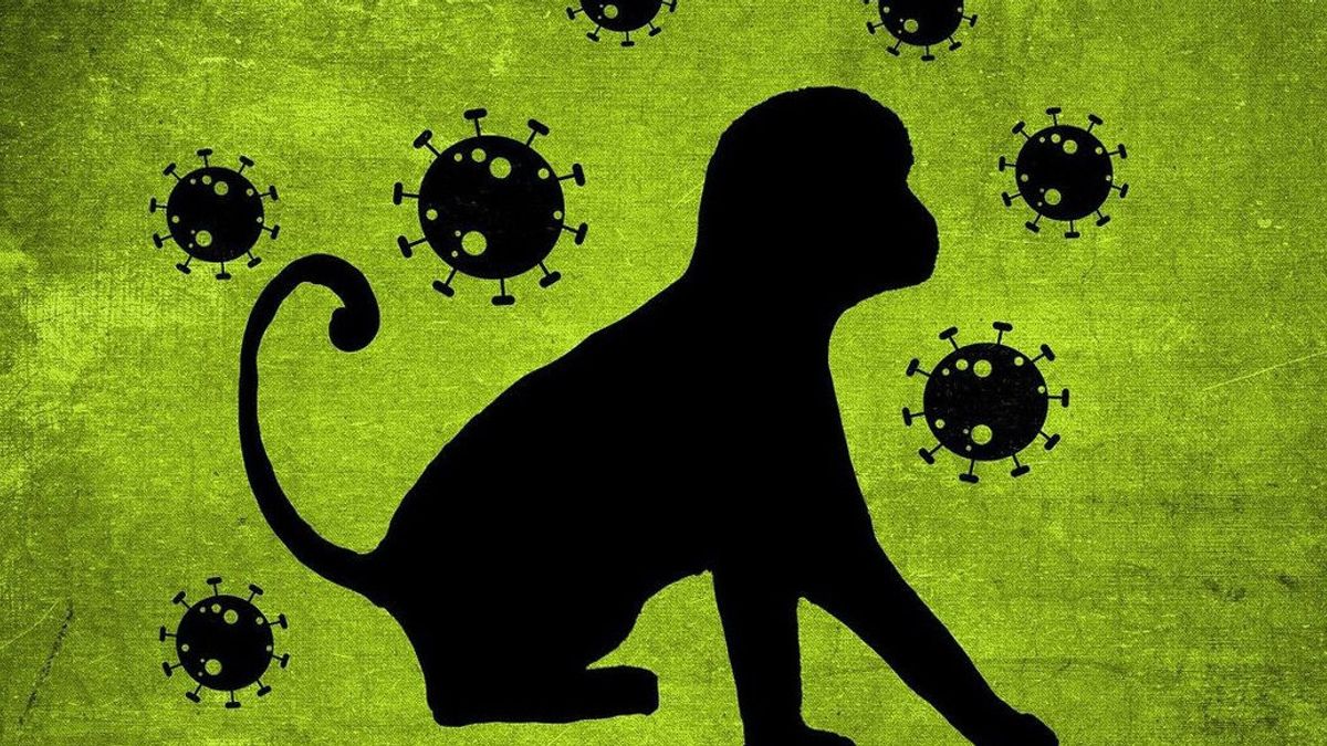 Tindakan Kemenkes RI Cegah Cacar Monyet Masuk Indonesia