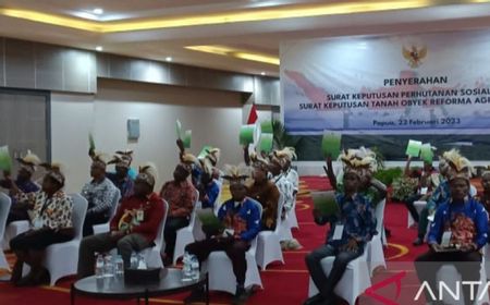 Jokowi Berikan 11 SK Perhutanan Sosial ke Pemprov Papua, 1.526 KK Terima Manfaatnya