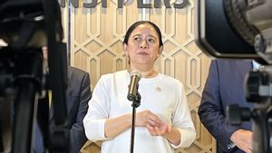 Hasto Jalani Sidang Vonis Besok, Puan Harap yang Terbaik