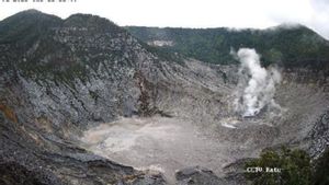 Lonjakan Signifikan, Badan Geologi Catat Gempa di Gunung Tangkuban Parahu Meningkat