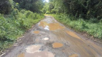 Dorong Ekonomi Masyarakat, Pemkab Lebak Anggarkan Rp75 M untuk Perbaikan Jalan