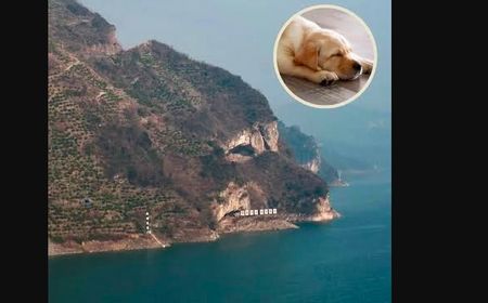 Viral Gunung di China Ini Disebut Mirip Anak Anjing
