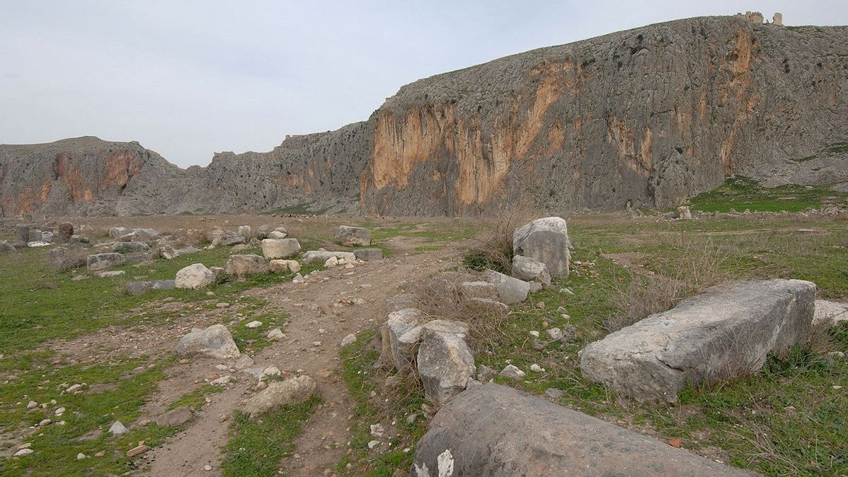 在土耳其阿纳瓦尔扎古城遗址中发现的稀有角斗士墓葬