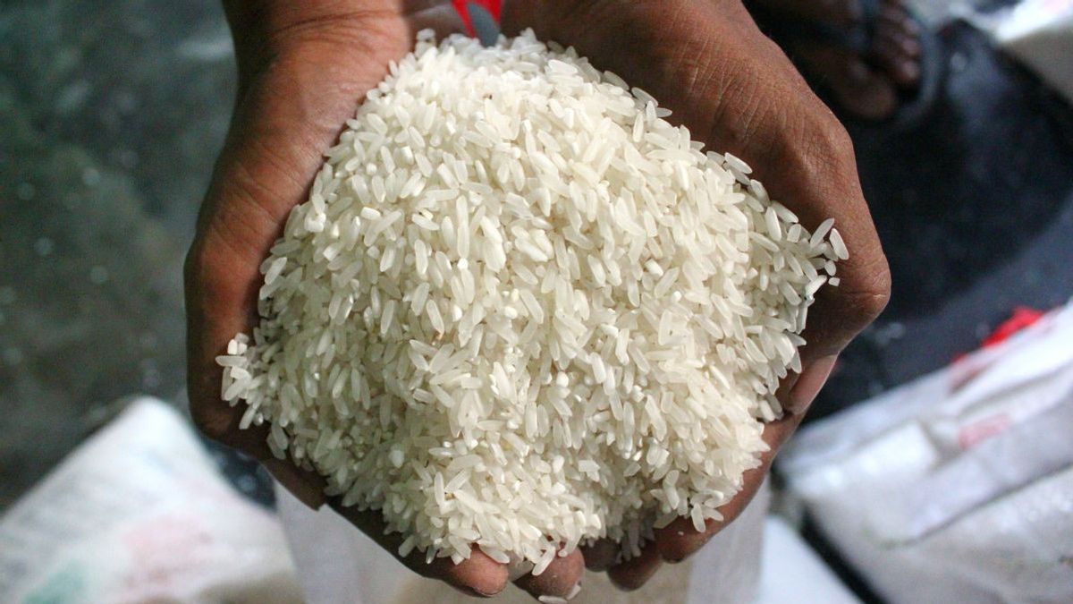 Ahead Of The Dry Season, Rice Production Slumped 2.47 Million Tons