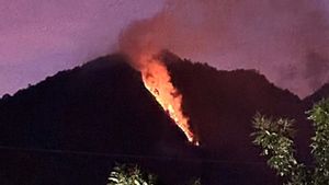 テロモヨ山の森スマランが火事に見舞われた