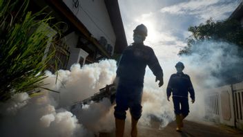 旱季仍在下雨,DKI省政府继续预测登革热病例
