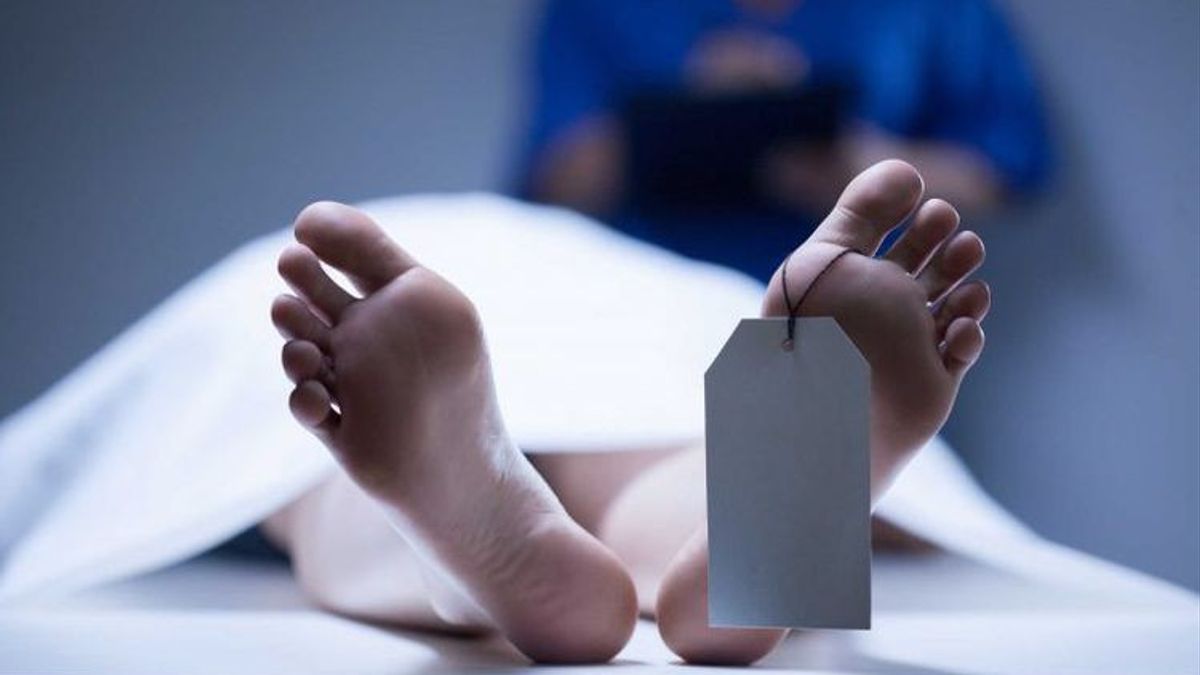 Hand Bones Poking Behind Cardboard, Farmers Find Woman's Body In Demak