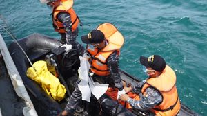 9 Hari Pencarian Sriwijaya Air SJ 182, Total 308 Kantong Jenazah Berhasil Dikumpulkan