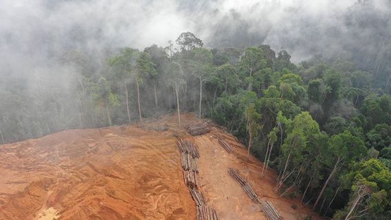 農業大臣は、土地再生を妨げるIPPKHを撤回することを確保する