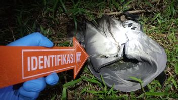 Bau Busuk dari Semak Tepi Jalan Ungkap Misteri Jasad Bayi di Lampung