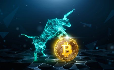 Bitcoin Diprediksi Masuki Tahap Akhir Siklus Bull Run, Investor Diimbau Waspada!