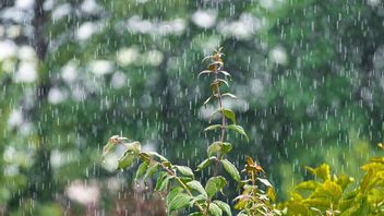 ما الذي يجعل إندونيسيا تعيش موسمين؟ تحقق من الشرح الكامل