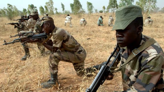 29名尼日尔士兵在举行军事行动时在近边袭击中丧生