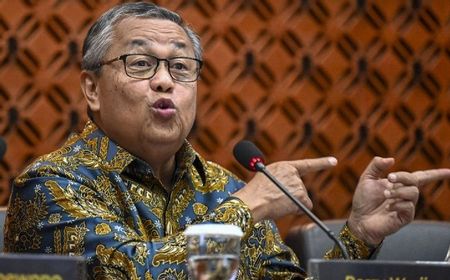 BI Bakal Tambah Instrumen Penempatan DHE SDA Baru