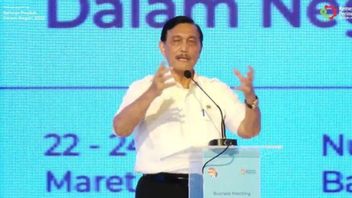 Observer: Functionally, Coordinating Minister Luhut Goes Beyond The Main Functions Of Prime Minister