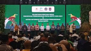 Accelerate Development In Papua, Vice President Emphasizes 4 Strategic Messages
