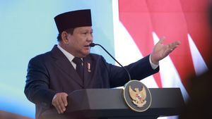 Ultimatum Prabowo: Benahi BUMN 2-3 Tahun atau Dibersihkan