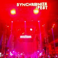 Synchronize Fest Sertakan Donasi Penanaman Mangrove di Penjualan Tiket Early Bird