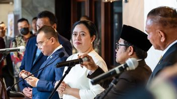 Beragam Upaya DPR 2019-2024 Perkuat Politik Luar Negeri Lewat Diplomasi Parlemen