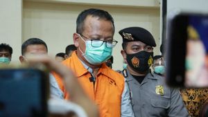 Edhy Prabowo Dicecar Aliran Uang dari Berbagai Eksportir Benih Lobster