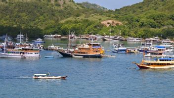 Turbulent Rejection Of Tourism Actors About Tariffs For Komodo National Park, NTT Transportation Agency Ensures Shipping In Labuan Bajo Is Normal