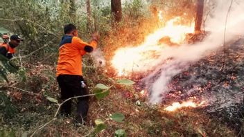 森林和陆地火灾的预期,BKSDA西苏门答腊Gencar森林和陆地巡逻