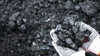 RMKエナジーは1月に623.9千トンの石炭を輸送し、5年間で最高を記録しました。