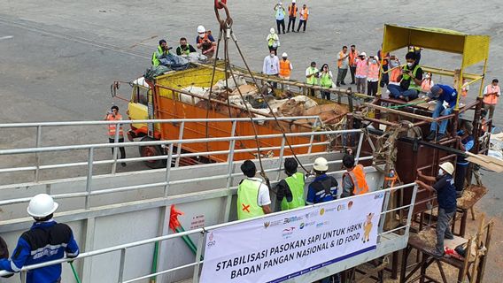 Meeting The Needs Of Ramadan And Eid, PT Berdikari Is Ready To Mobilize Cattle To Greater Jakarta And Greater Bandung