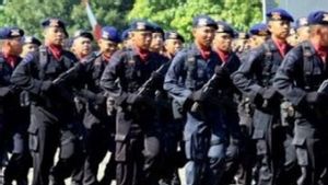 100 Brimob Nusantara Polda Riau Pulang dari Papua