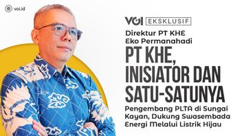 Video Eksklusif, Direktur KHE Eko Permanahadi: Listrik Hijau PLTA Kayan Cascade Dukung Swasembada Energi