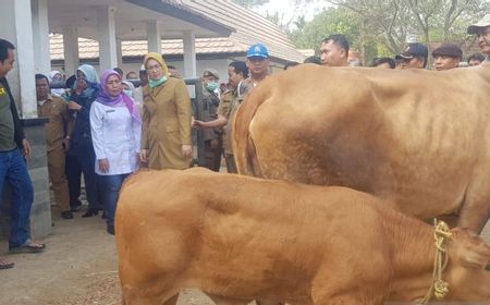 Cegah Antraks Masuk, Bupati Anne Ratna Tutup 4 Pasar Hewan di Purwakarta