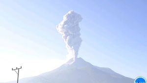 Gunung Lewotobi Laki-laki NTT Masuk Fase Efusif, Level Naik ke Siaga 