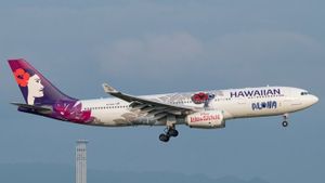 Hawaiian Airlines Alami Serangan Siber, Operasional Penerbangan Tetap Berjalan Normal