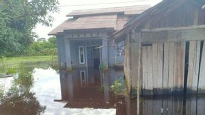 10 maisons dans le nord de Singkawang Kalbar Kebiran, BPBD Coordonnée à Lurah