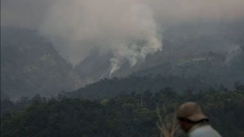 中爪哇Ungaran山的火灾被扑灭