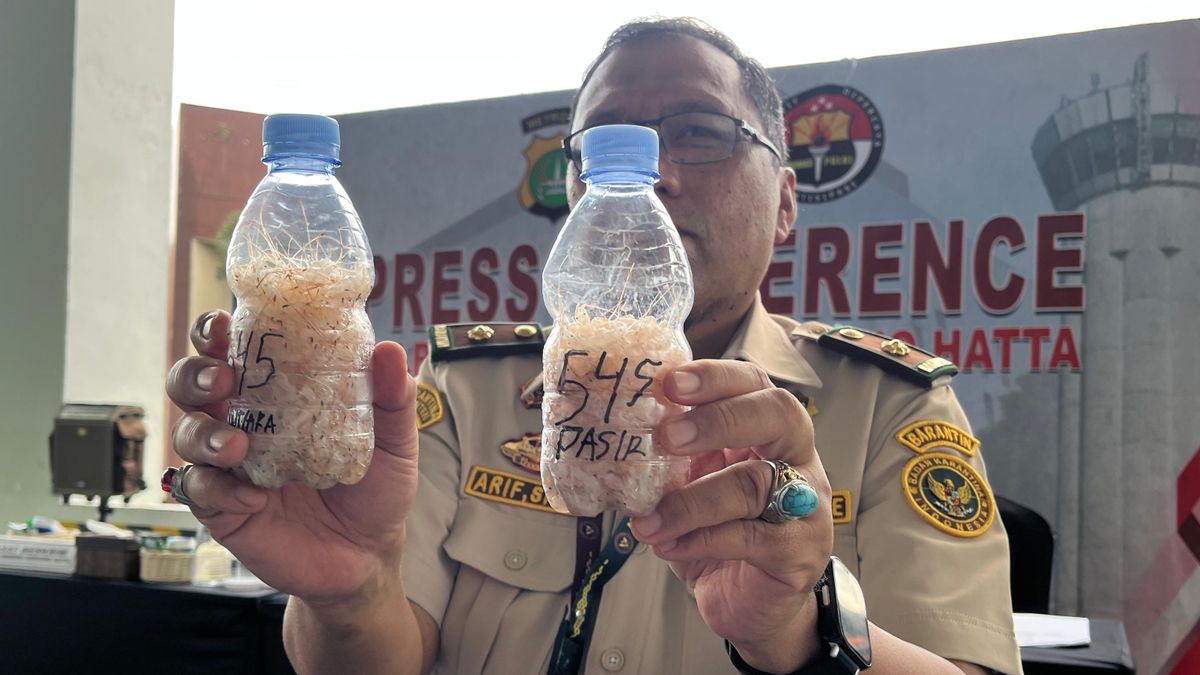 171 Thousand Lobster Seeds Secured At Soetta Airport, Police Name 7 Suspects