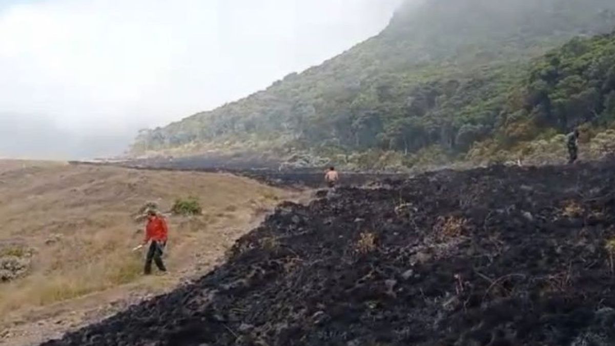 Tim Gabungan Padamkan Kebakaran Padang Rumput di Alun-alun Suryakencana Gunung Gede