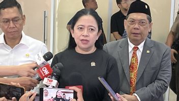  Puan Buka Peluang Bentuk Pansus Untuk Evaluasi Haji 2025