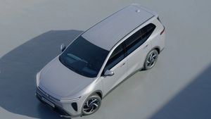 VinFastは消費者艦隊用のMPV 7シートを発売し、個別に販売されると噂されています