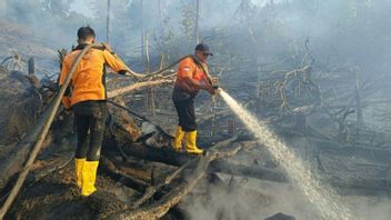 BMKG: Hotspots In East Kalimantan Drop Drastically From 102 To Four