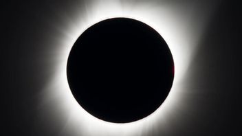 Processes Of Total Sun Eclipse, How To See, And The Effects To Earth