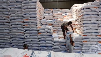 Bulog Serap 91.753 Ton Setara Beras dari Petani di NTB
